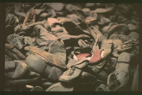 Auschwitz. Co ja tu robię? Odkryj znaczenie pamięci i traumy Auschwitz. Co ja tu robię? Odkryj znaczenie pamięci i traumy